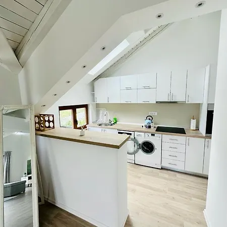 Milincic Milincic Nest